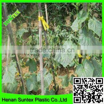 Supper Hdpe Tomato /cucumber Plant Support Net photo-4