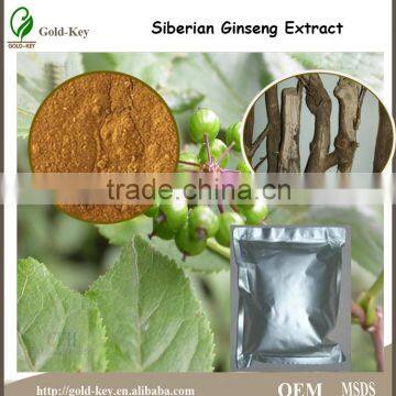 100% Natural Siberian Ginseng Extract,Siberian Ginseng Extract 0.8%\/1.2% Eleutheroside B+E,0.8%\/1.2% Eleutheroside B+E'