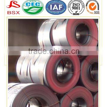 New Galvanized Steel Strip/Coil