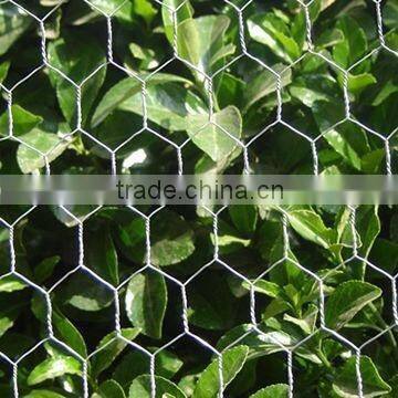 1'' stainless wire mesh