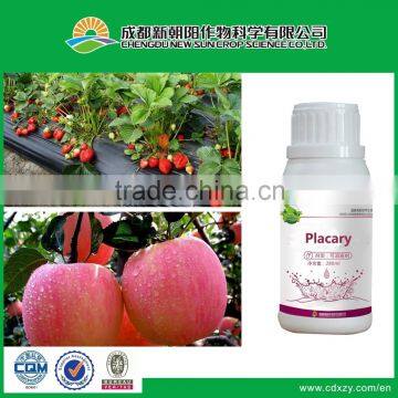 Botanical pesticide / Acaricide Placary (killing red spiders and mites)