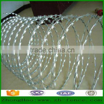Prison Used High Security Razor Barbed Wire Fence Directly Sale From Factory photo-3