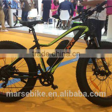 750W Fat Tire Snow Beach Electric Bike