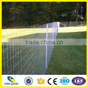 Manufacture RAL256 Welded Mesh Fence SHIJIAZHUANG HANQING