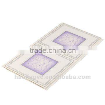 lightweight ceiling panel