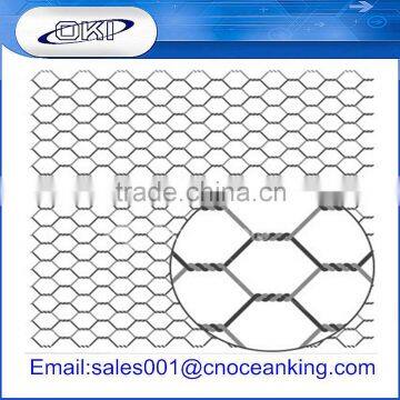 High Quality Hexagonal Wire Netting / Chicken Coop Wire Netting photo-3