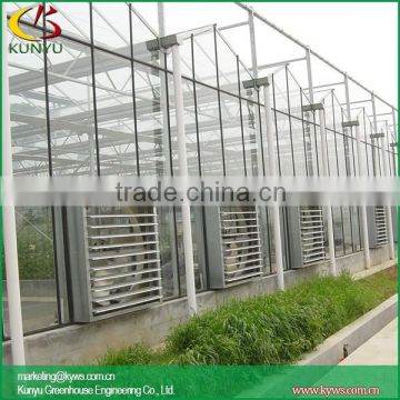 Venlo roof garden greenhouses commercial glass greenhouse