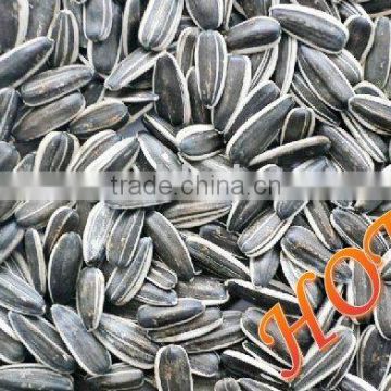 buy salted crisp sunflower seeds by roasted in paper bag