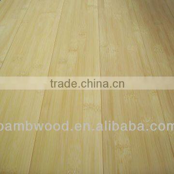 Light Color Bamboo Flooring