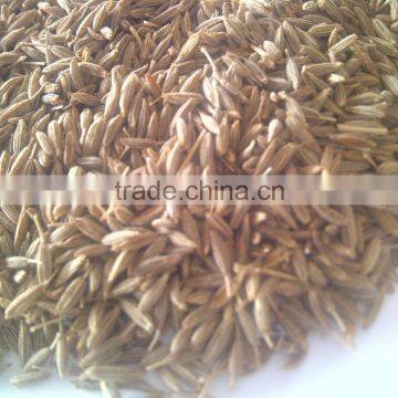 Zira (cumic) photo-2