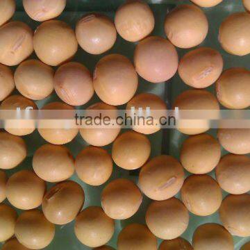 Organic Chinese Yellow Soybean