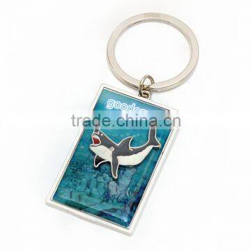 Fashion High Quality Metal Rhinestone Crystal Diamante Dolphin/whale Animal Shaped Keyring photo-6