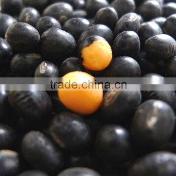 2014 crop Black Soya Beans, Black SoyBeans Yellow/Green kernels