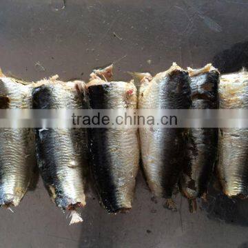 155g Canned Sardine for Sale