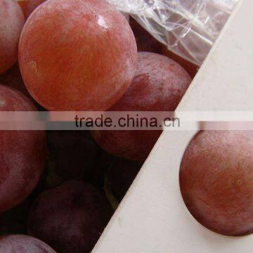 Crimson Grapes Supplier for Canada Market photo-6