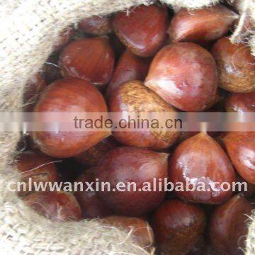 laiwu wanxin fresh chesnut