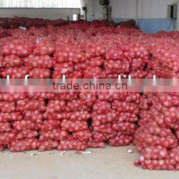 fresh yellow onion and red onion packed in mesh bag