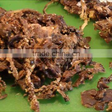 Halal Baby Food Names Manufacturer Honey Pollen Royal Jelly Pollen Health Food Mix ... photo-2