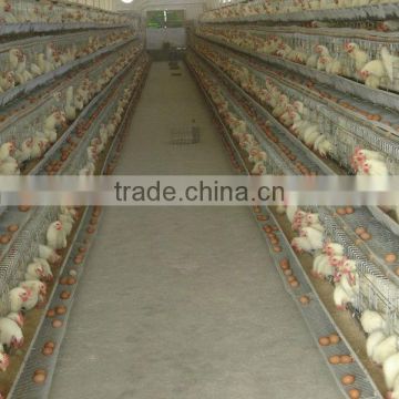 Battery breeder cages