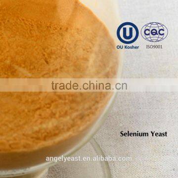 Selenium Yeast 2000ppm for Providing Selenomethionine photo-2