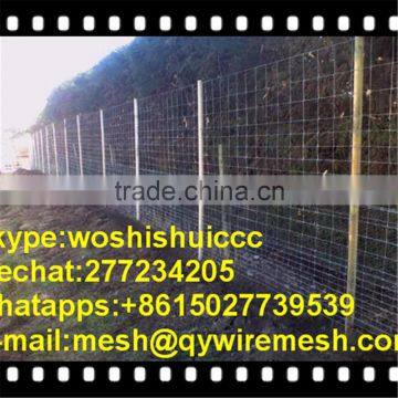 Good Quality Field Fence Cattle Fence photo-3