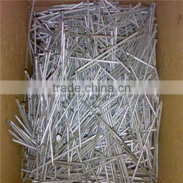 Factory Manufacturer Wire Carbon Iron Common Nail photo-3