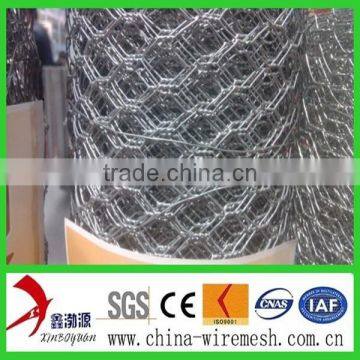 Lowest Price Chicken Wire Mesh photo-2