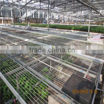 China Supplier Farm Fiberglass Horticultural Green House