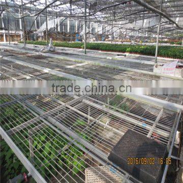 Plastic Green House for Vegetable/Flower Raising photo-3
