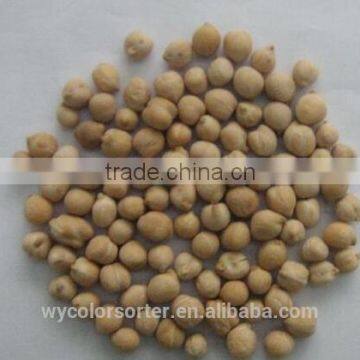 Chick Peas Color Sorting Machine From Anhui Wenyao photo-2