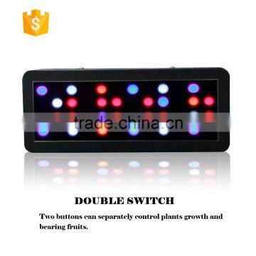 Full Spectrum Hydroponic Greenhouse LED Grow Light photo-3