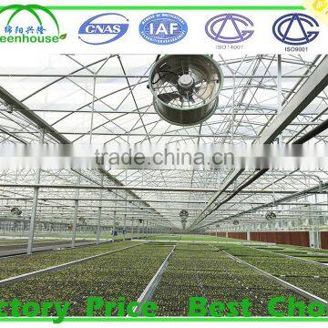 Agricultural Glass Greenhouse for Sale photo-5