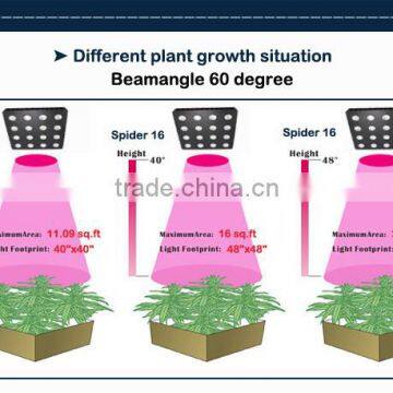 2016 The Most Powerful 5W LED Grow Light TL 400W 700W 900W 1200W 1600W (Veg / Special Bloom / Standard Spectrum Available) photo-3