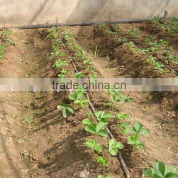 16mm High Quality Drip Irrigation Tape for Greenhouse photo-2