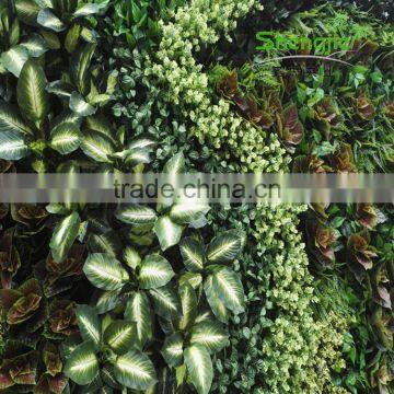 SJLJ013678 18 Square Meters Artificial Green Wall With Plant for Wall Decoration photo-5