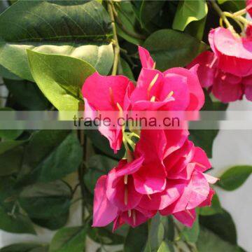 Artificial Branch Leaves Fake Leaves With Flower for Decor photo-4