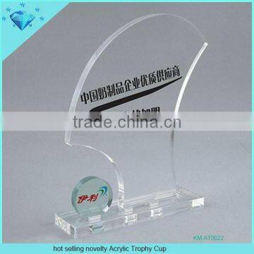 Hot selling novelty Acrylic Trophy Cup