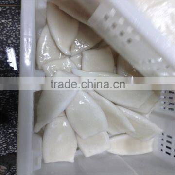 Pacific Squid Tube Frozen photo-3