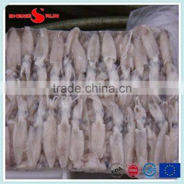 BQF Frozen Baby Loligo Squid photo-3
