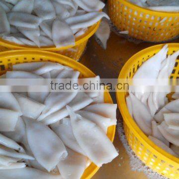 Frozen Tordarodes and Argentina Squid Tube U10,U5 photo-4