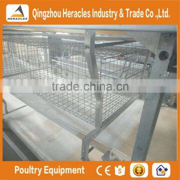 Trade Assurance Layer Chicken Cag-- H Type Cage Chicken Equipment photo-3