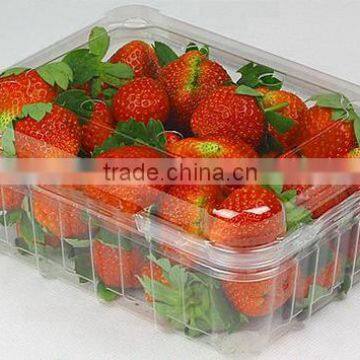 Disposable Packaging ;Vegetable Box ;Fruit Dish photo-3