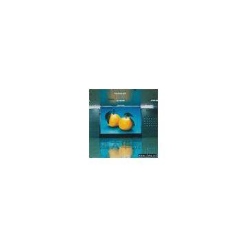 Sell Indoor LED Advertising Display