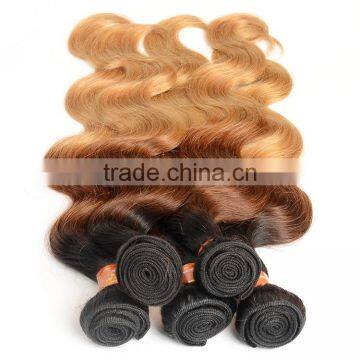 2015 New Arrival Ombre Virgin Brazilian Hair Color Dye, 3 Tone Color Brazilian Body Wave photo-5