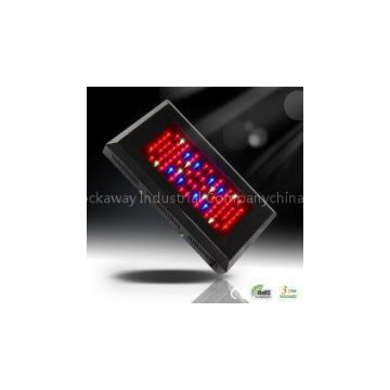 New Energy Saving Greenhouse RCG80*3W/630mA LED Grow Plant Light for Sale