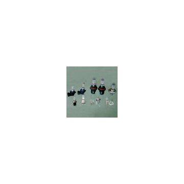 Halogen Bulbs
