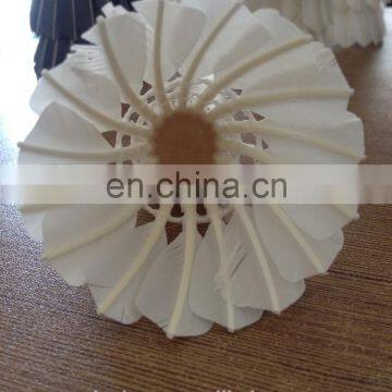 Best Professional Class B Goose Feather Badminton Shuttlecock Sale photo-4