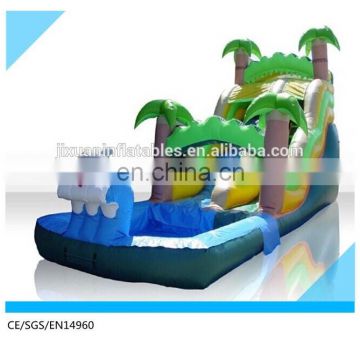 palm tree inflatable pool slide/ inflatable castle slide with pool