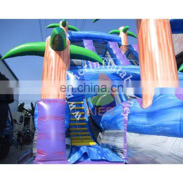 New Fashion Giant Inflatable Water Slide,inflatable Colorful Water Slide,Double Tube Inflatable Water Slide photo-4