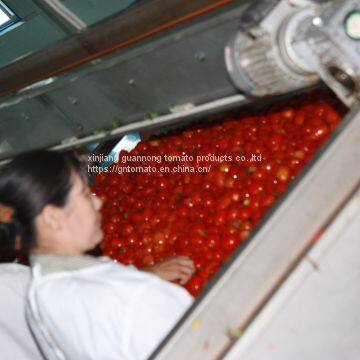 2019 Crop Tomato Paste photo-3